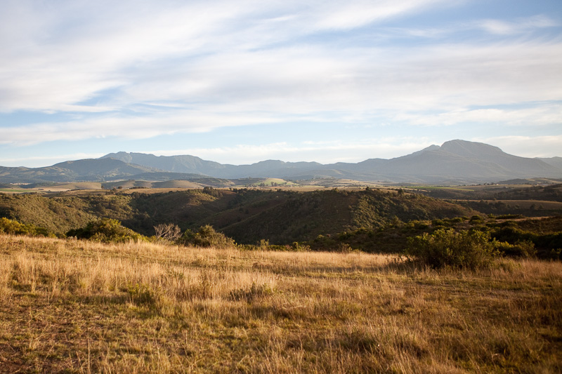 Botlierskop Private Game Reserve / South Africa